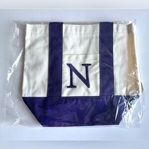 Northwestern Exclusive Embroidered Cotton Canvas Mini Tote